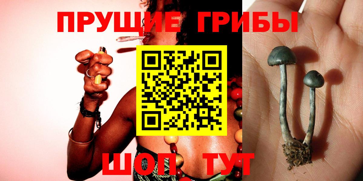 Воронеж  Галлюциногенные грибы Cubensis  Галлюциногенные грибы мухоморы  Вход с VPN 
